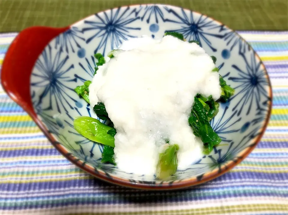 菜花のお浸しとろろかけ|食工房 晃満（こうみ）さん