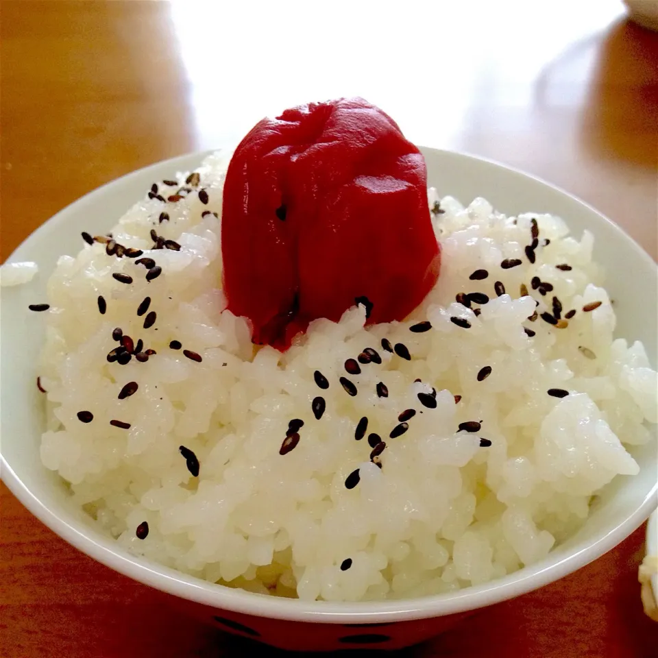 Snapdishの料理写真:炊きたてご飯🍚❤️梅干し&ごま塩でね〜🤗💕 #ご飯のお供 #幸せ|まいりさん