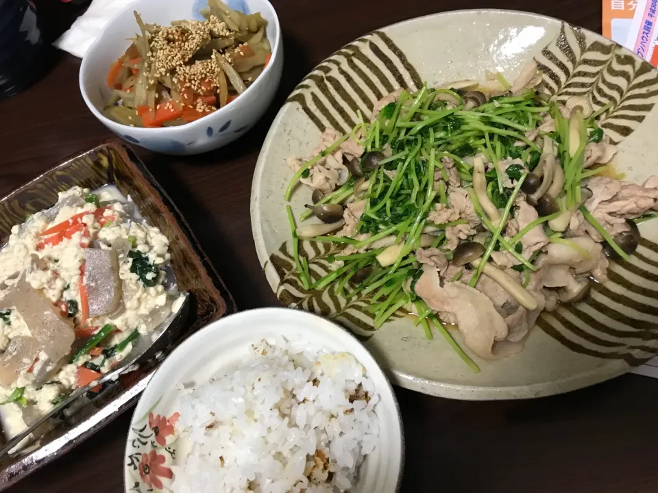 2月13日晩ご飯。豚肉と豆苗炒め、白和え、きんぴらごぼう。|あやさん