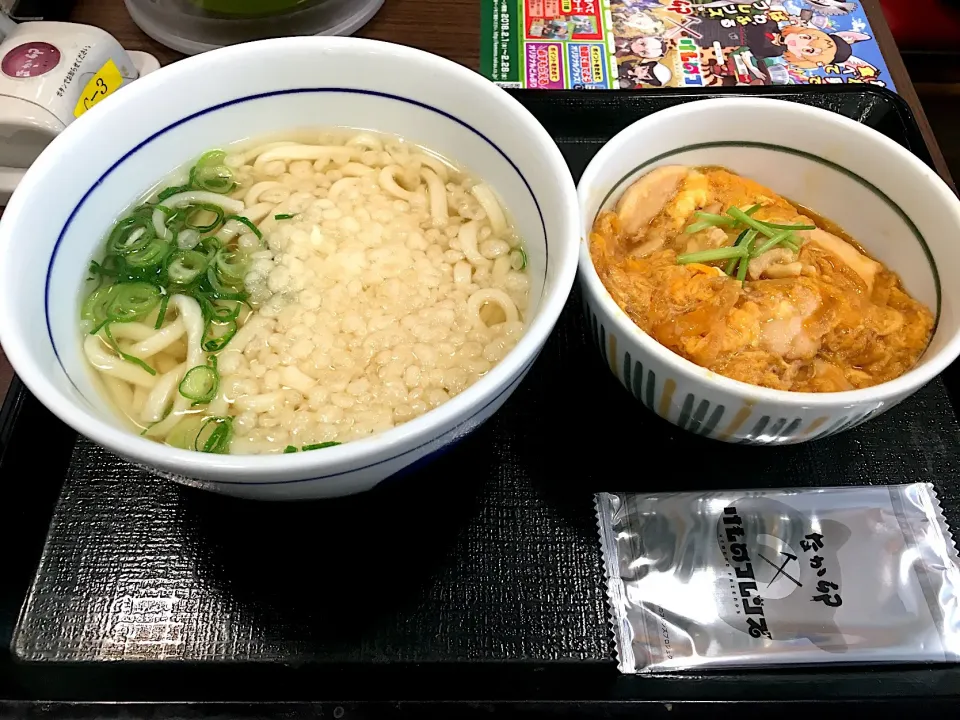 親子丼(ミニ)+はいからうどん|しのぶさん