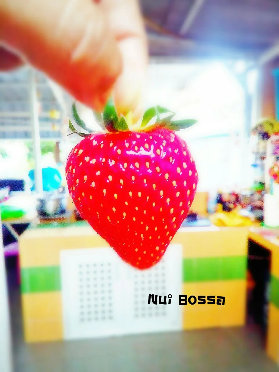 🍓"Happy Valentine's Day"💛💚😀|nuibossa fb.Nui Bossaさん