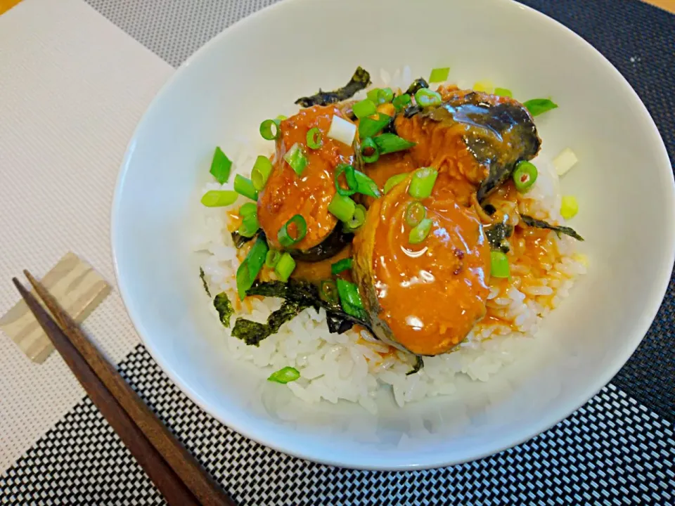 めっちゃ手抜き…今日のひるごはーん
鯖味噌煮丼|こたろーさん