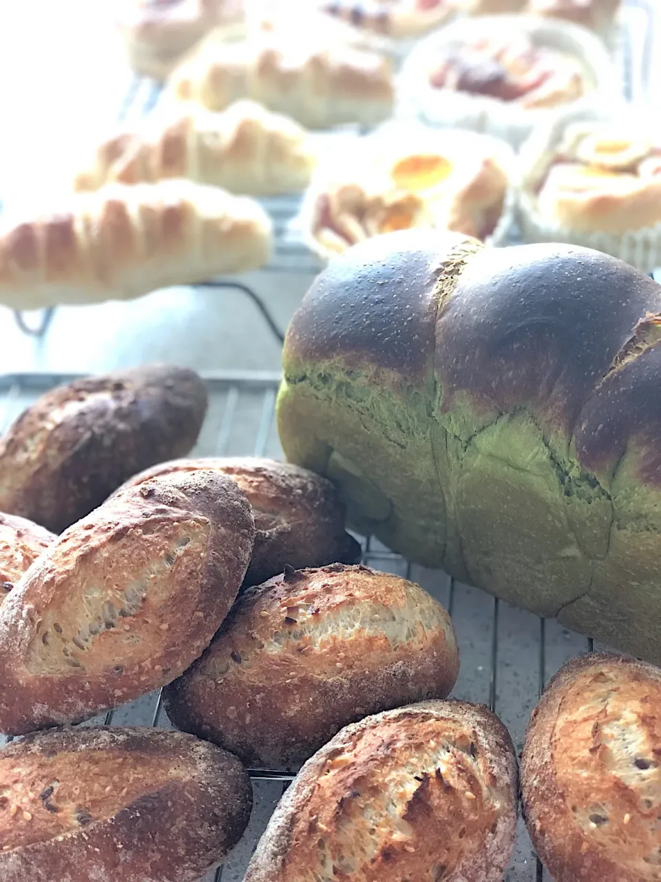 自家製酵母で手作りパン
抹茶山食、雑穀クッペ、ハムエッグ、ウィンナーパンで🍞|REINA✨さん