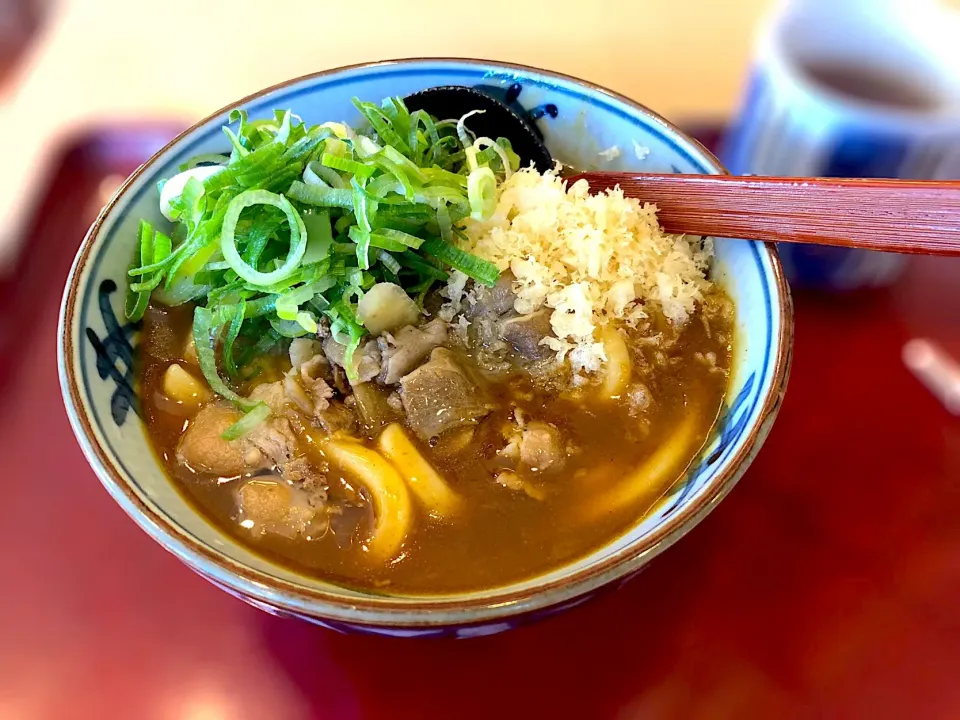 Snapdishの料理写真:肉カレーうどん 葱&天かす盛り|Tetsuwan_ATOMさん