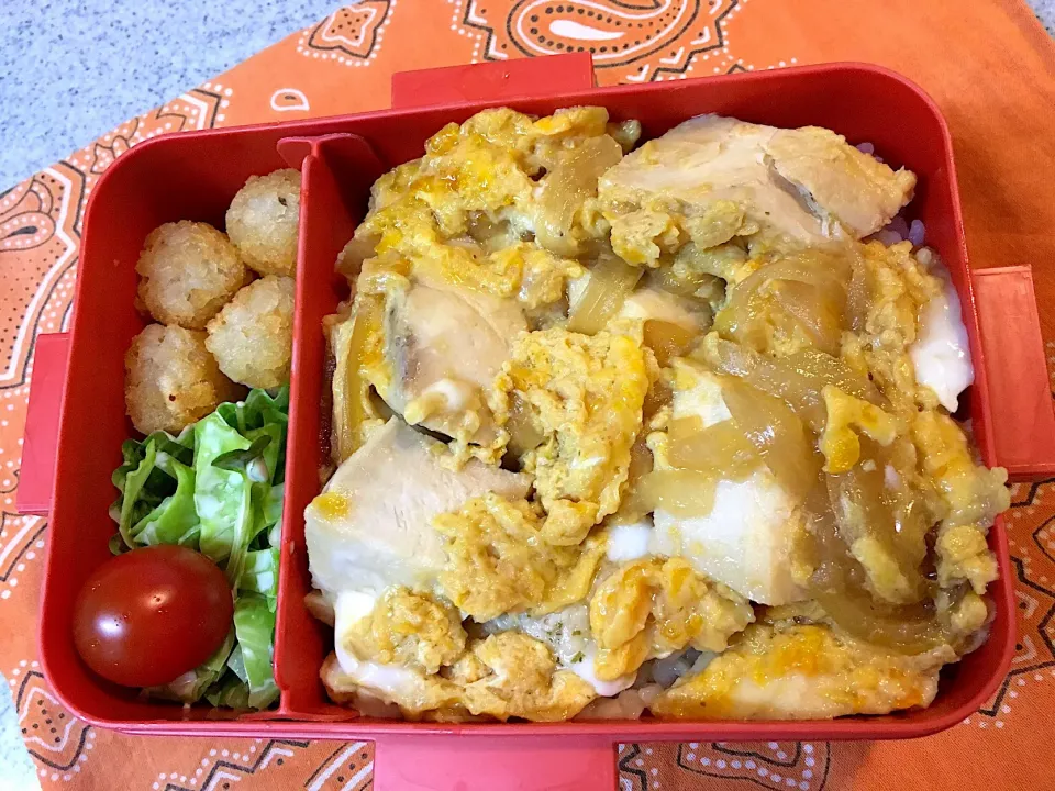 ♫2/19今日のお弁当♫〜鶏ハムで親子丼、プチハッシュポテト、キャベツとカイワレのぽんマヨ、トマト〜|Satokoさん