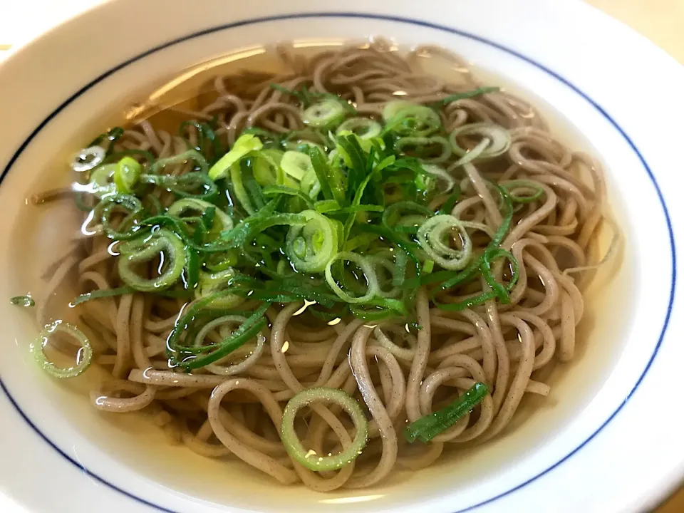 日本で一、二を争う貧相な掛け蕎麦を朝餉とする…やはりコレはテンション下がるなぁ🤢|にゃあ（芸名）さん