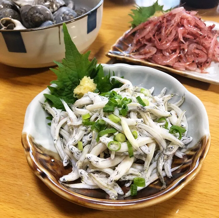 静岡/吉田港産 釜揚げ太しらす|ガク魁‼︎男飯さん