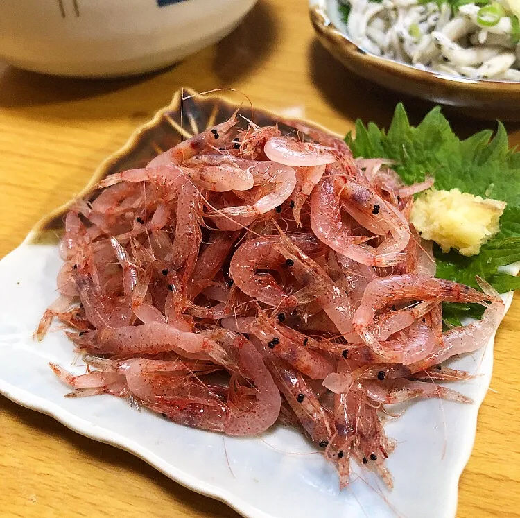 静岡/焼津/大井川港産 生桜海老🦐|ガク魁‼︎男飯さん