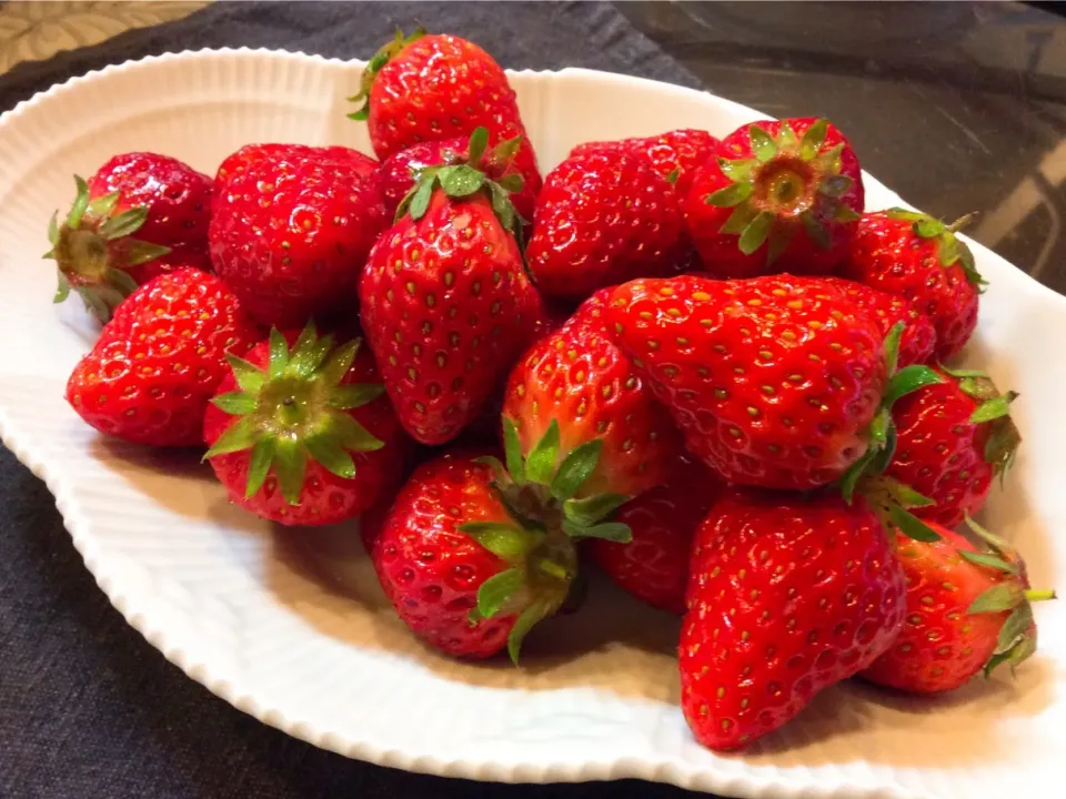 Snapdishの料理写真:頑張れ女子カーリング🥌
我が家ももぐもぐタイム🍓😋|アライさんさん