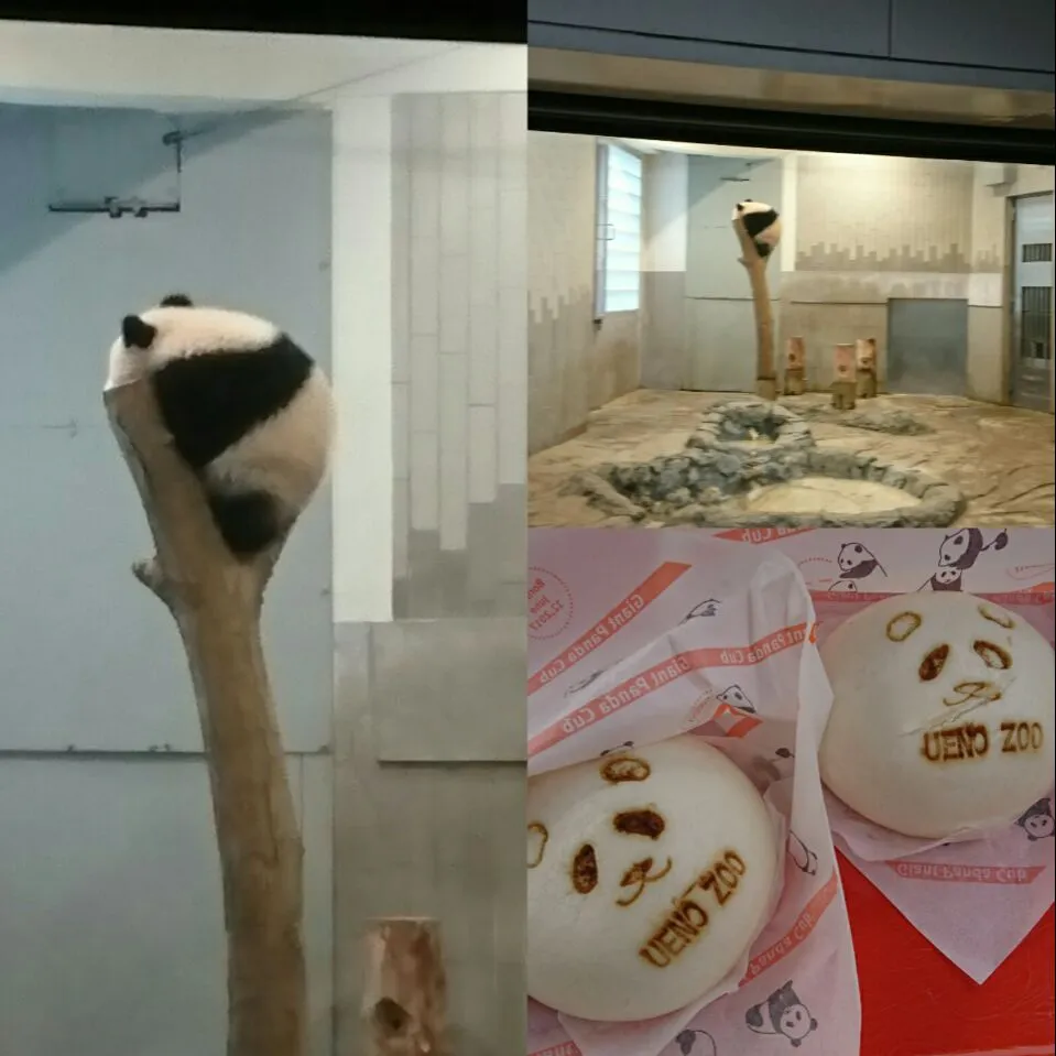 Snapdishの料理写真:上野動物園でパンダまん🐼|しまだ ちえこさん