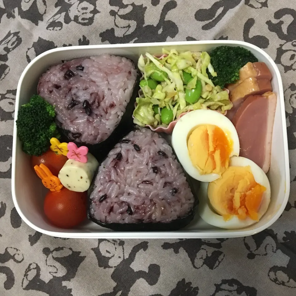 Snapdishの料理写真:2/22 おにぎり🍙 キャベツと枝豆のサラダ ゆでタマゴ 鴨のロースト（市販） キャンディチーズ ブロッコリー ミニトマト🍅|aichanさん