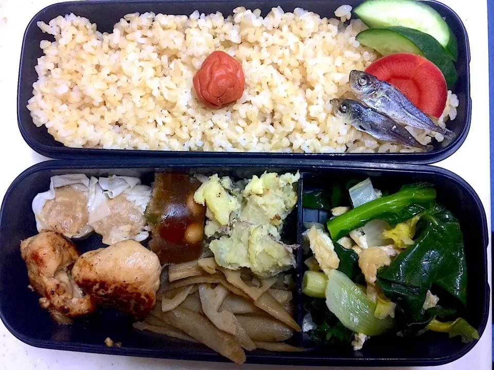 #今日のお弁当|Victoryageさん