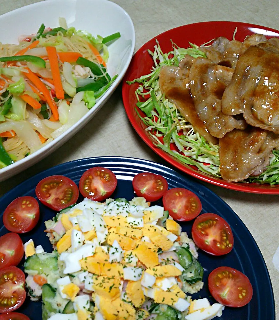 ⭐今日の晩ご飯⭐  豚のしょうが焼き  焼ビーフン  ポテトサラダ  粕汁|hamamaさん