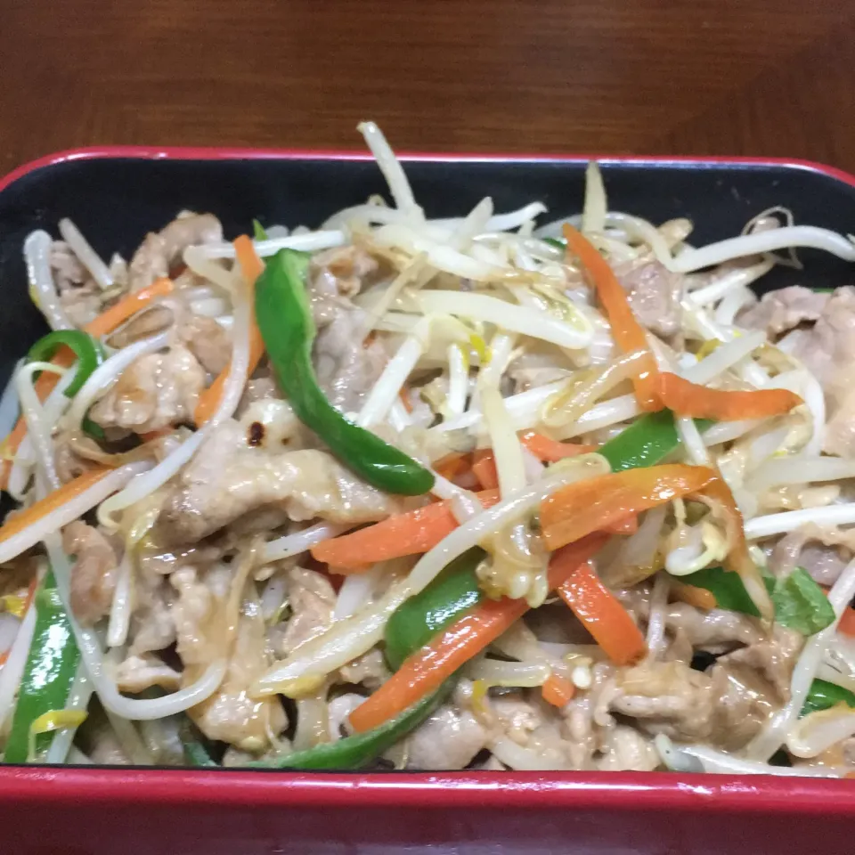 晩ご飯：豚肉とモヤシのオイマヨ炒め、麻婆飯|星猫さん