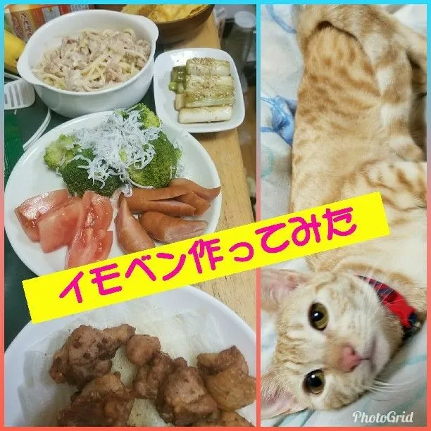 Snapdishの料理写真:妹弁当久々に作ってみた！にゃんこ預かってもらってるから仕方ねーべさ！なはは、(^^;)|ジロー7さん