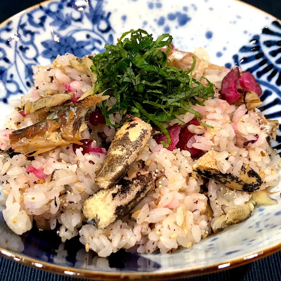 今夜の晩御飯はししゃもご飯！|ぞうさんのお台所さん