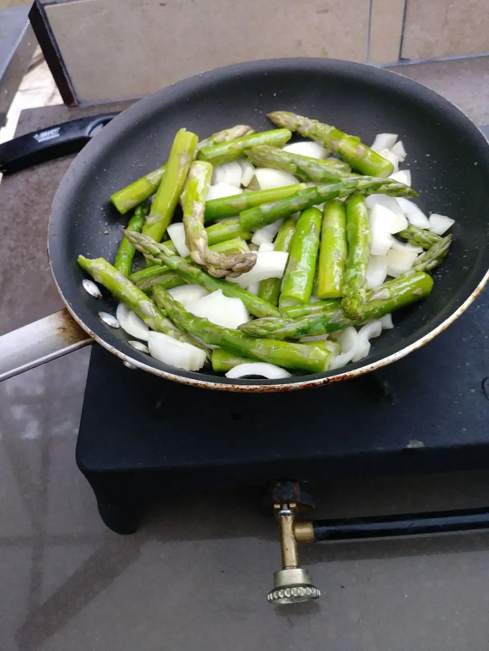 asparagus and onions to start|Polly Gelfusoさん