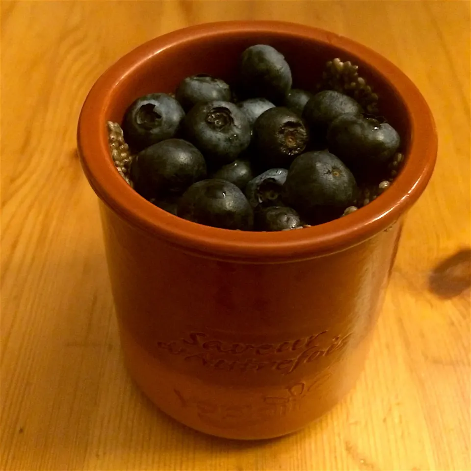 Chia pudding with cocoa powder, coconut nectar syrup and blueberries|MissYumYumさん