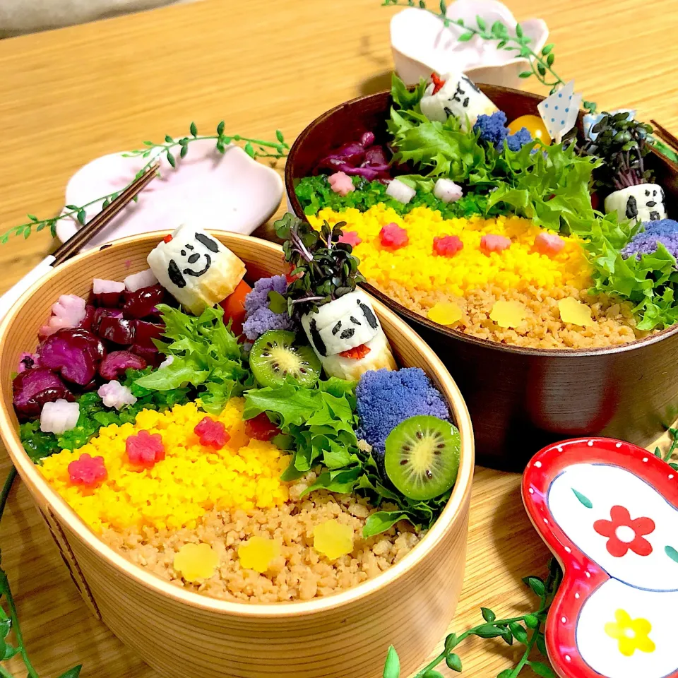 スヌーピーお花そぼろ弁当🌼🍱(*´∀｀*)|uma umatacoさん