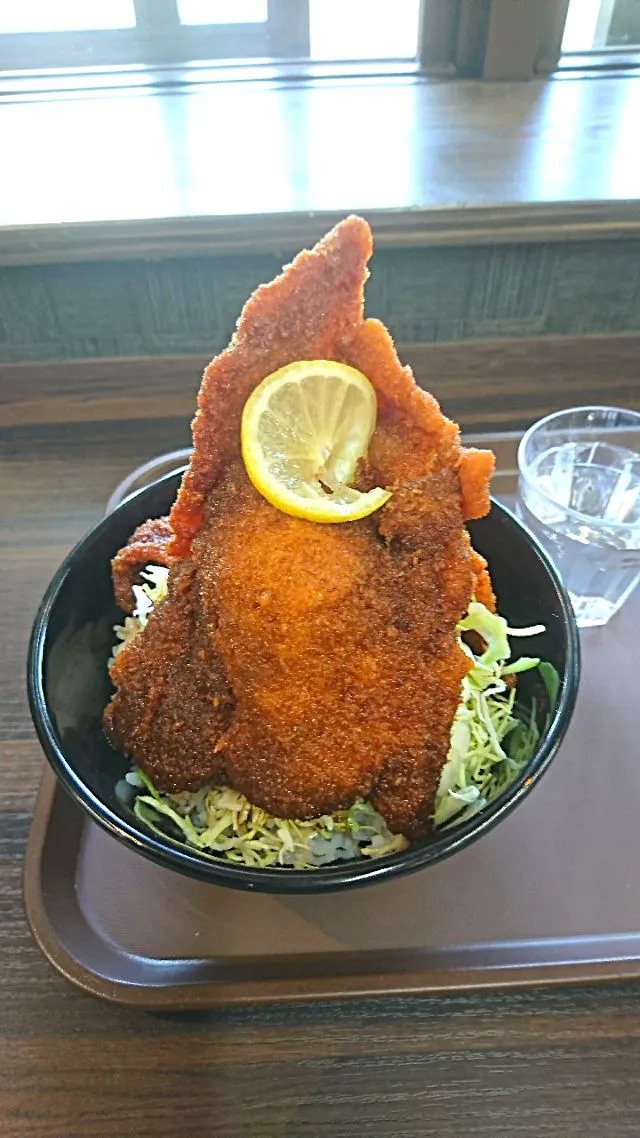 旅先で食べたソースカツ丼‼️〰️👀〰️530円〰️😍〰️高ーいので取り皿に置いて食べました〰️😋|quitaさん