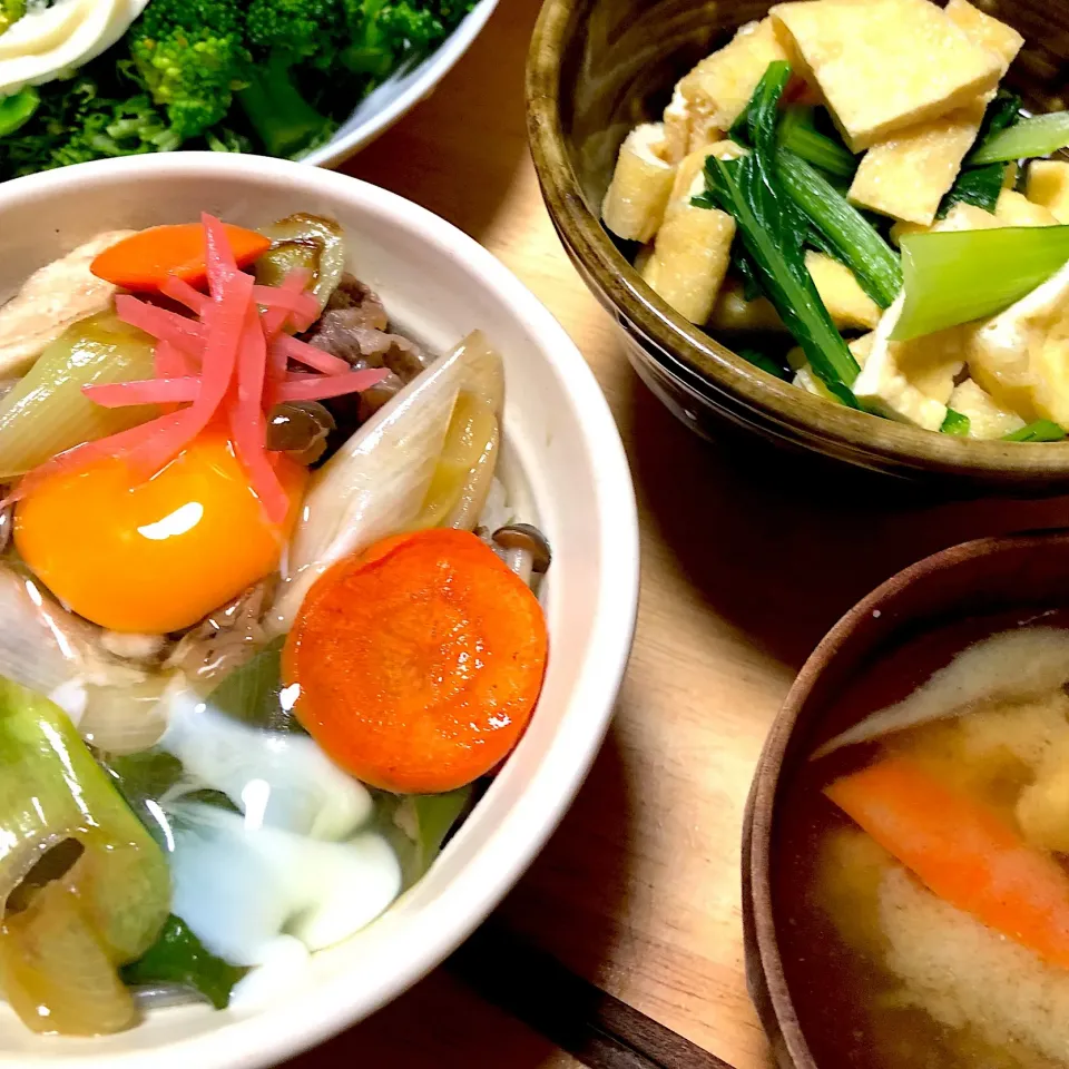 Snapdishの料理写真:肉ゴボウ丼
サラダ
小松菜の煮浸し
冷奴|ミカさん