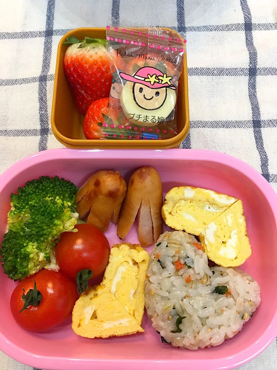 さいごの遠足お弁当|ありささん