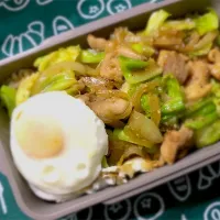 Snapdishの料理写真:鶏肉とキャベツの味噌炒め丼弁当|mackyさん