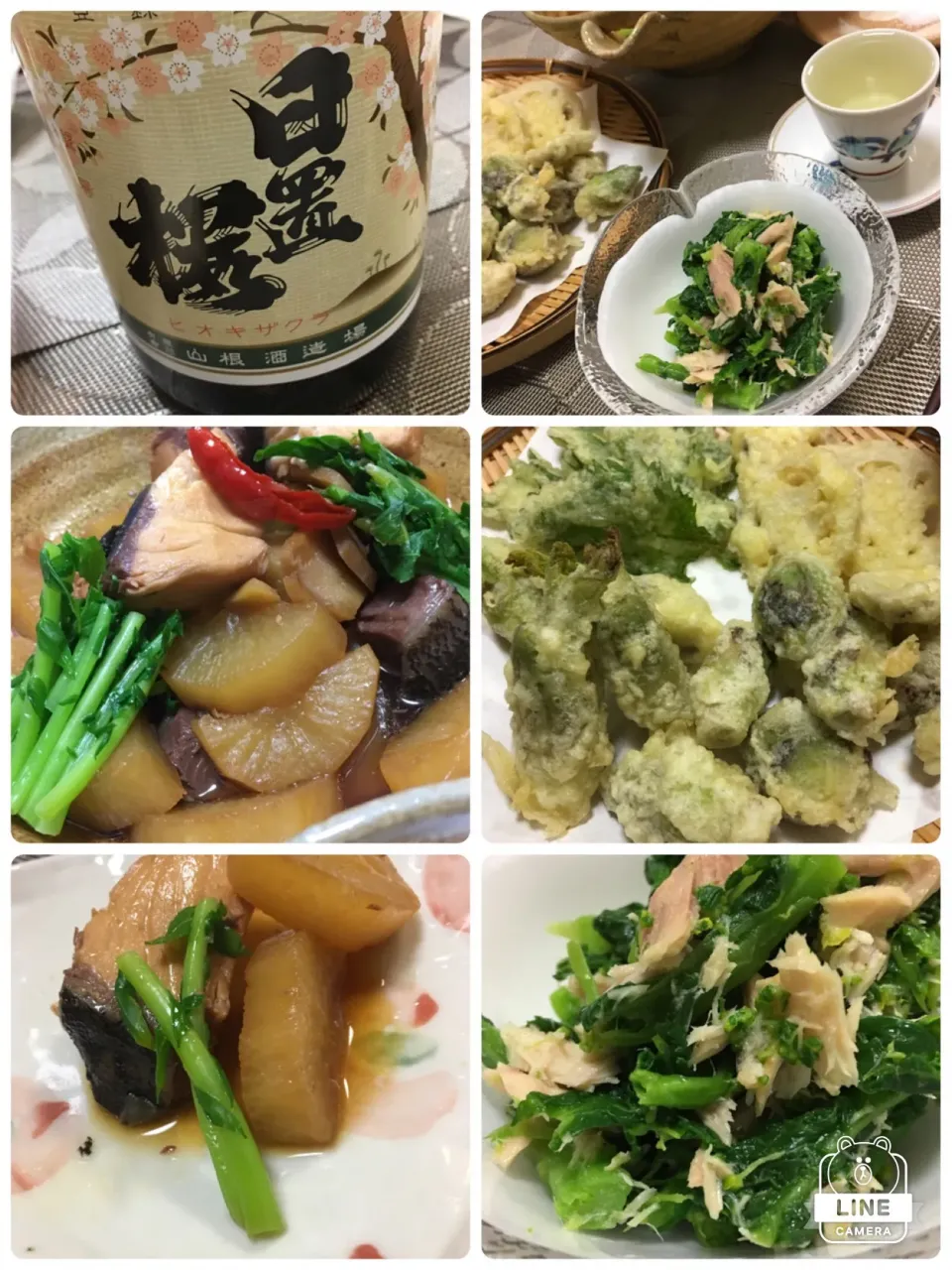 未起さんから頂いたシーチキンで！菜の花シーチキンチーズ和え🤤ぶり大根🐟天ぷらは、フキノトウにタラの芽|MOMO-chan☻さん