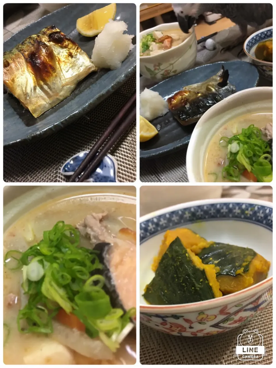 Snapdishの料理写真:カズエさんから頂いた酒粕で🤤
奥…愛鳥がハイエナですやん😱|MOMO-chan☻さん