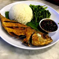 KAMPUNG STYLE GORENG IKAN WITH RICE|y:u:i:nさん