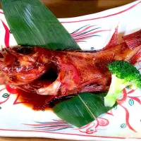 Snapdishの料理写真:煮魚の王様
キンキ|ごはん処 五鉢さん