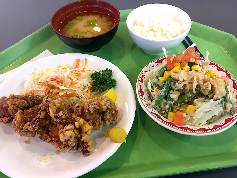 若鶏の唐揚、チキンとインゲンの胡麻サラダ|Tadahiko Watanabeさん