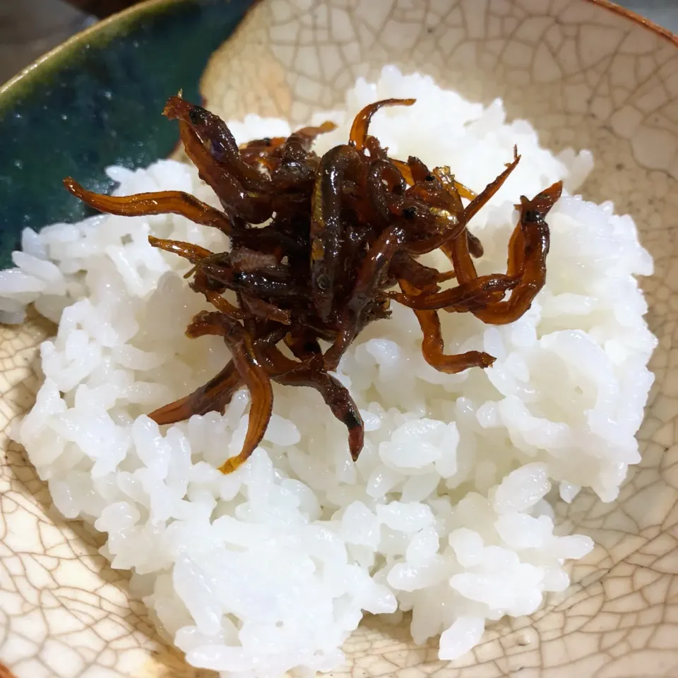 いかなごの釘煮とホカホカごはん🍚|nao子さん