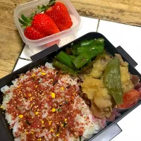 Snapdishの料理写真:お弁当|Yoko Adachiさん