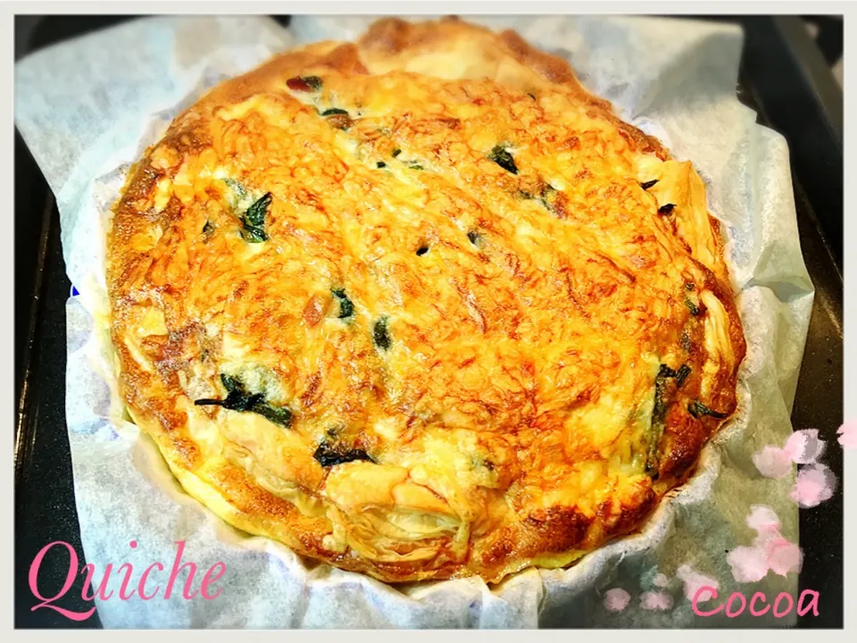 Snapdishの料理写真:Quiche  - フランスのお惣菜 ほうれん草とベーコンのキッシュ|cocoaさん