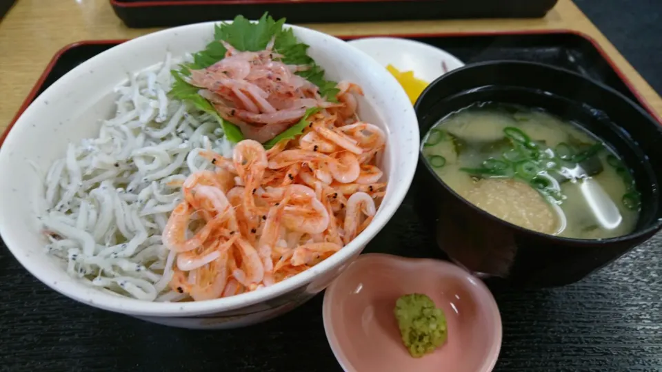 桜えびとしらすの紅白丼|kamekameさん