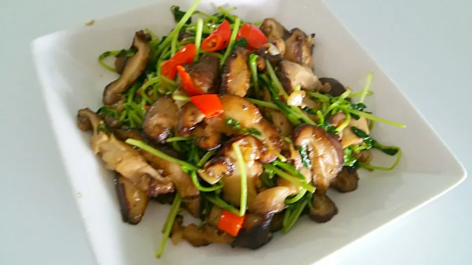 Stir fry garlic spicy shitake mushrooms dou miao 😥😍|🌷lynnlicious🌷さん