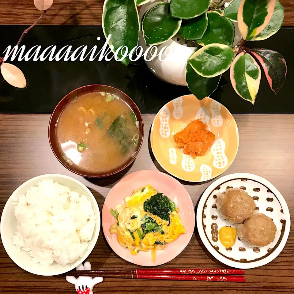 手抜き晩ご飯😂|マイコさん