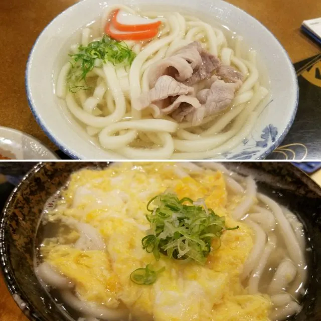 玉家の肉うどんと玉子とじうどん|Morito Kamiyaさん