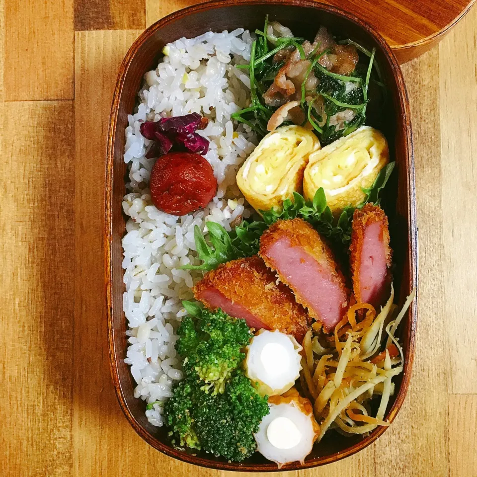 Snapdishの料理写真:家族のお弁当 2018.03.13|＊emio＊さん