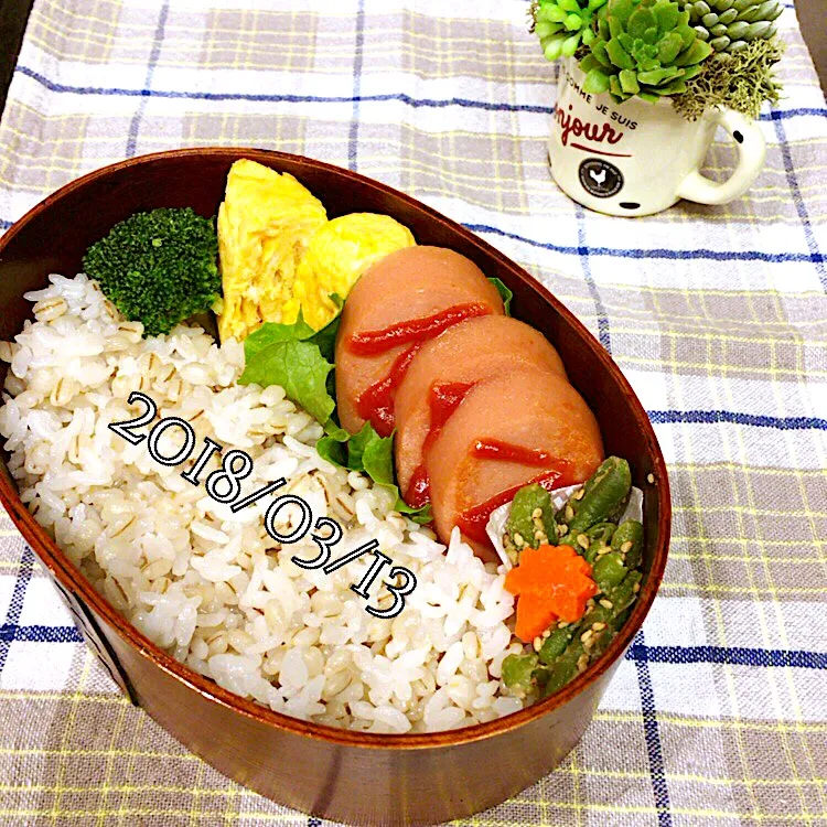 2018/03/13❤︎今日のお弁当🍱|makkkkkoさん