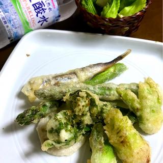 水 菜の花天ぷらのレシピと料理アイディア12件 Snapdish スナップディッシュ