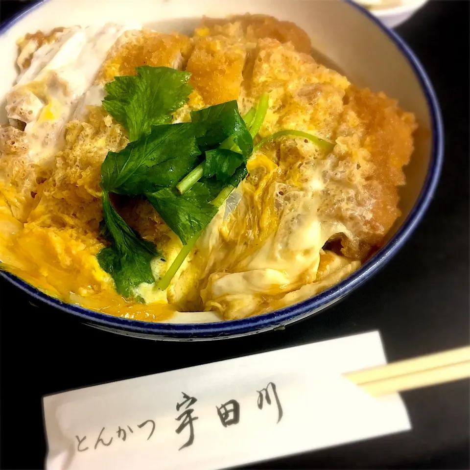 カツ丼  at  宇田川|natsu.さん