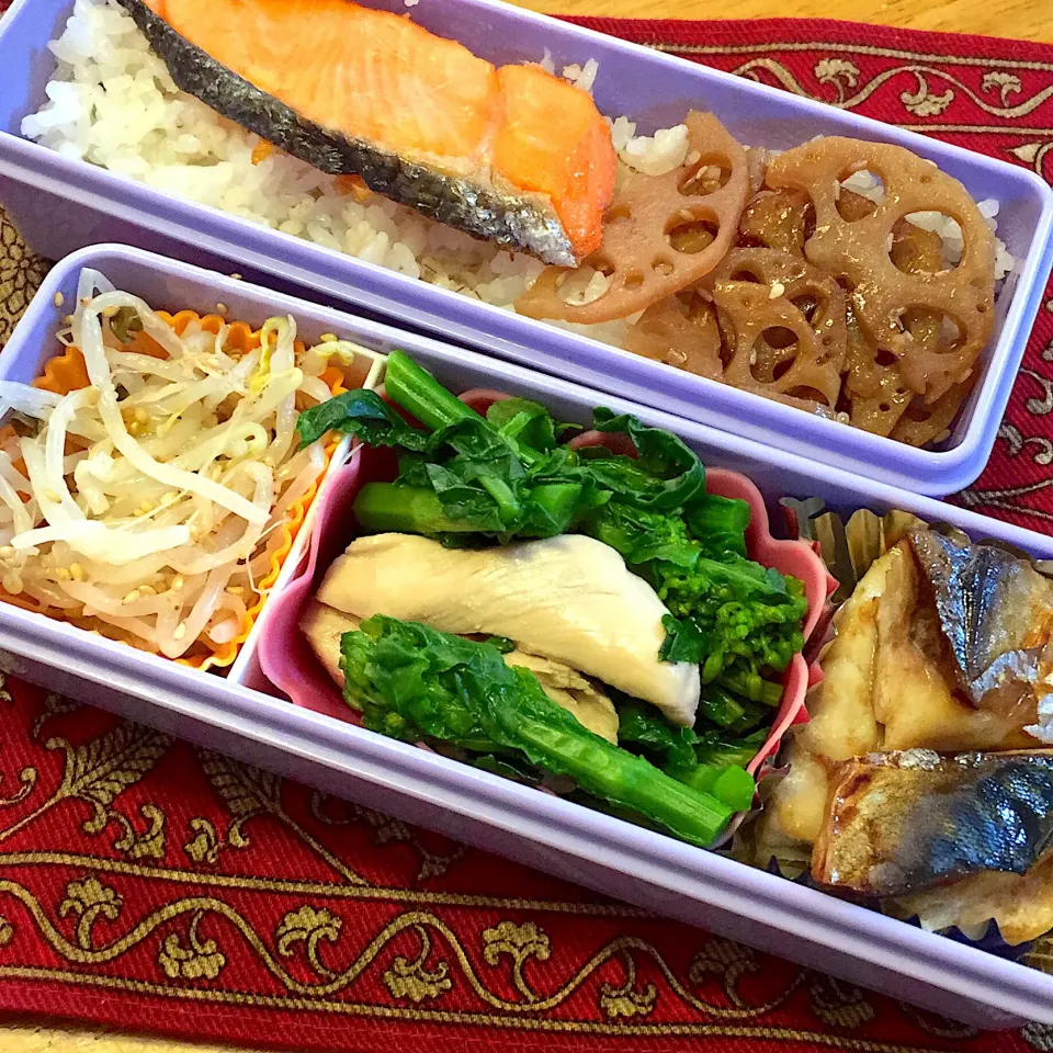 塩鯖と、鶏ささみと菜の花のおひたしと、もやしのナムルと、焼き鮭弁当|もえさん