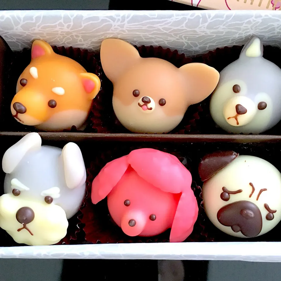 animal chocolate 🌸婿殿からのwhite day|さっちゃんさん