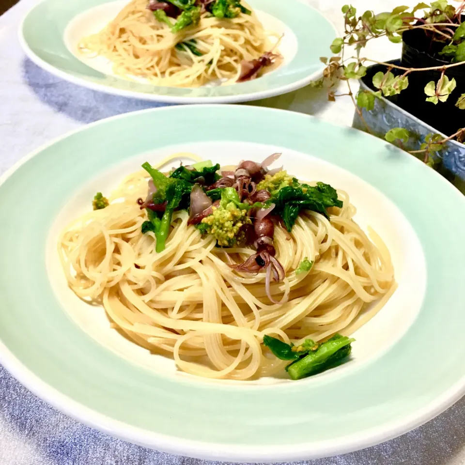 あまねこ🌿さんの料理 ほたるいかペペロンチーノ🌶
魅惑のぷりぷりボディ🦑|富士子🍒🐰🍓さん