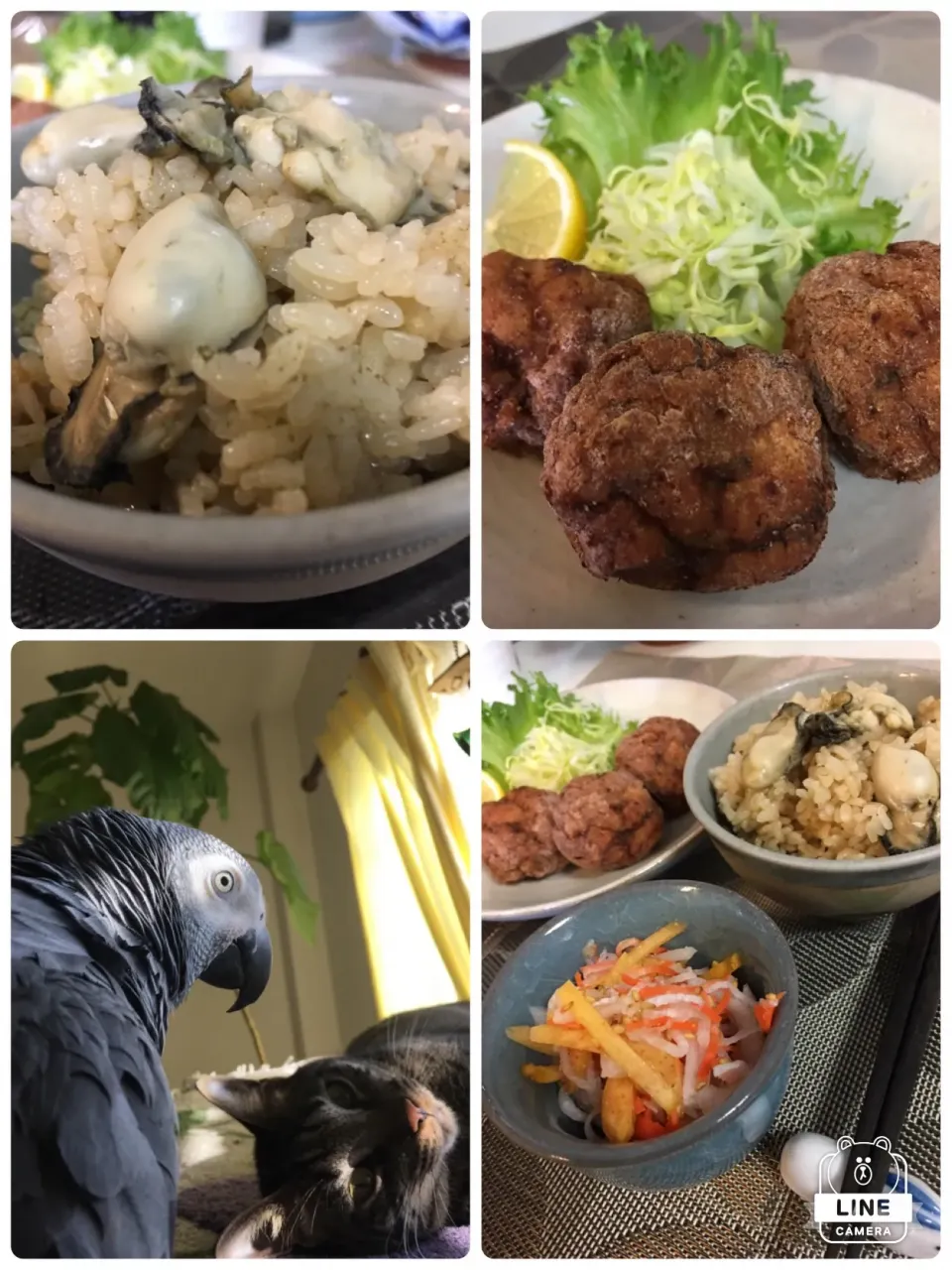 Snapdishの料理写真:牡蠣の炊き込みご飯♥ 鶏団子揚げ❤ 大根なます ❤|MOMO-chan☻さん