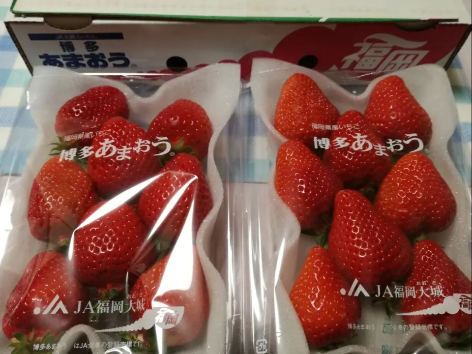 Snapdishの料理写真:博多あまおう🍓|Kojiさん