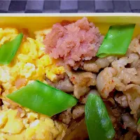 Snapdishの料理写真:卵と豚肉と明太子の簡単丼。|みきぷーさん