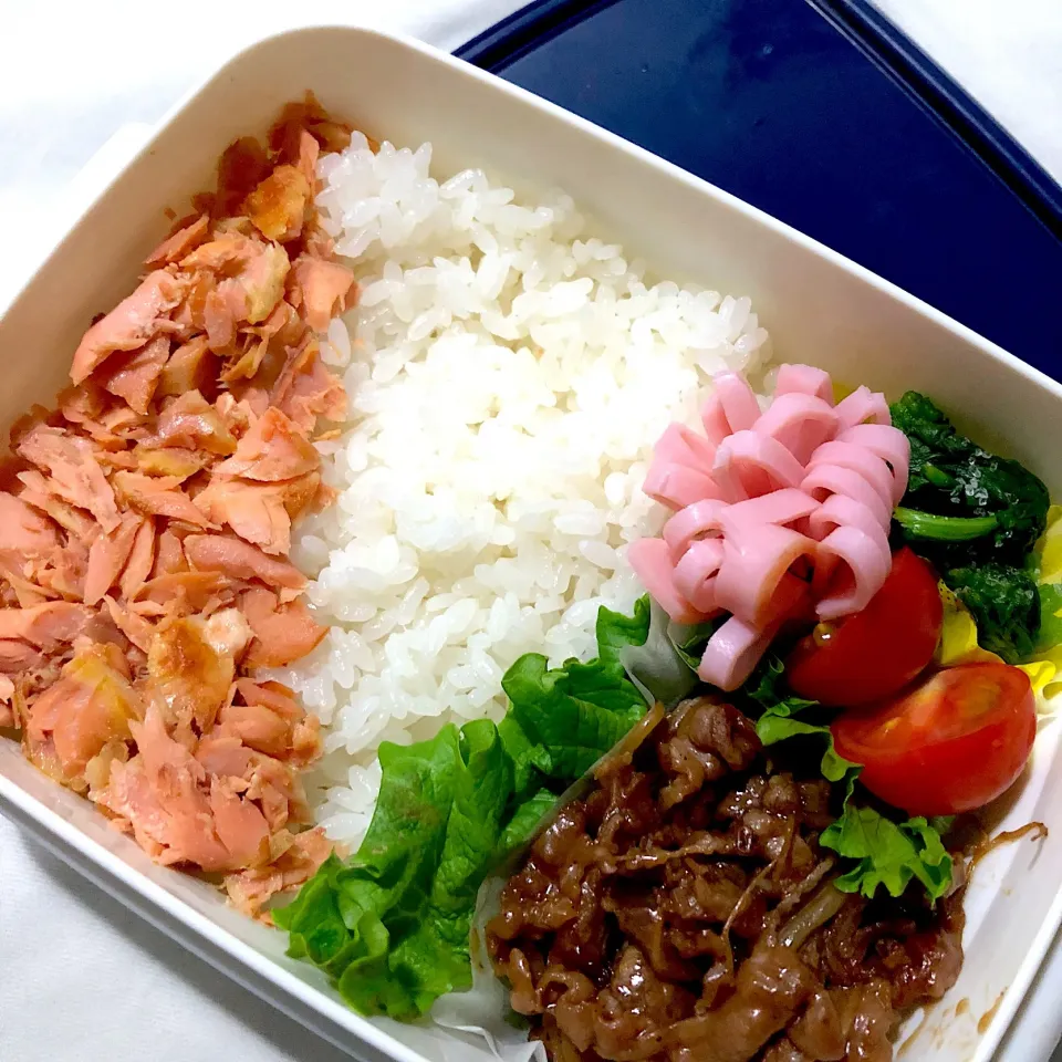 #お弁当 #修行中 #塩っぱい鮭💦|カナ☆デップさん